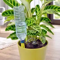 Arrosage automatique IRISO goutte a goutte individuel x4