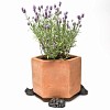 Porte plante Support pot de fleurs - CHAT couché - Lot de 3