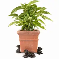 Porte plante Support pot de fleurs - CHIEN Labrador couché - Lot de 3