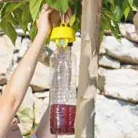 Bouchons pour piège à guêpes bouteille, frelons et mouches x5 - Recettes incluses