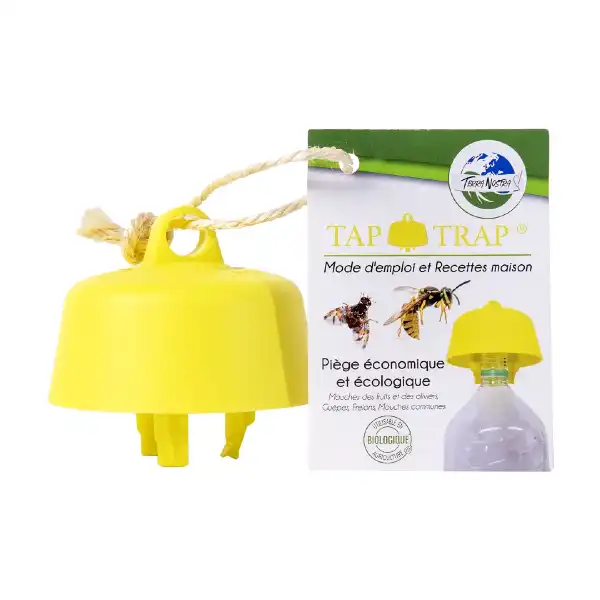 piege guepes frelons maison