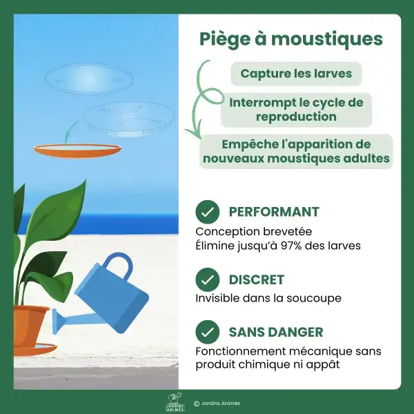 piege moustique pot fleur