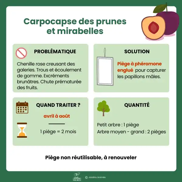 piege pheromone englue ver prune