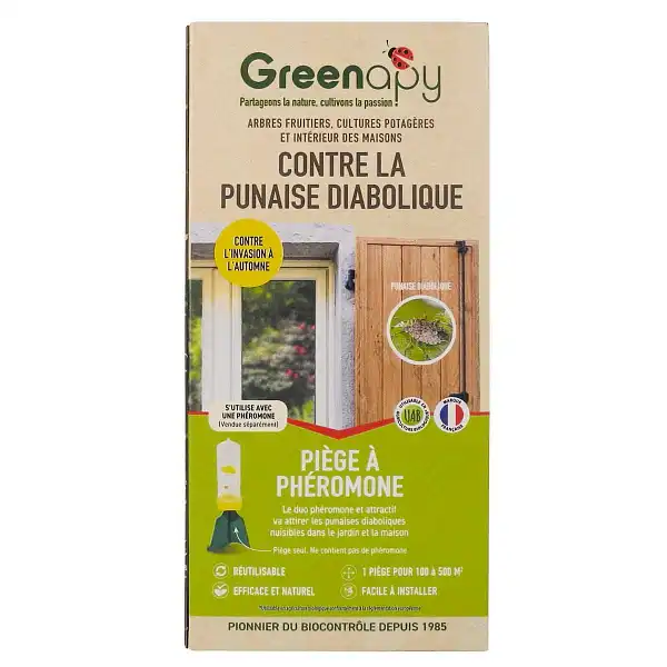 piege punaise diabolique maison