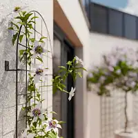 Treillis mural - grille pour plante grimpante en acier L.50 x H.180cm  Treillis mural - grille pour plante grimpante en acier L.50 x H.180cm