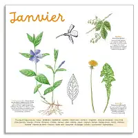 Calendrier 2025 du potager Bio  Calendrier 2025 du potager Bio