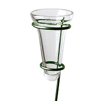 Pluviomètre en verre
