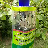 Piège à mouches - grande capacité - appât inclus