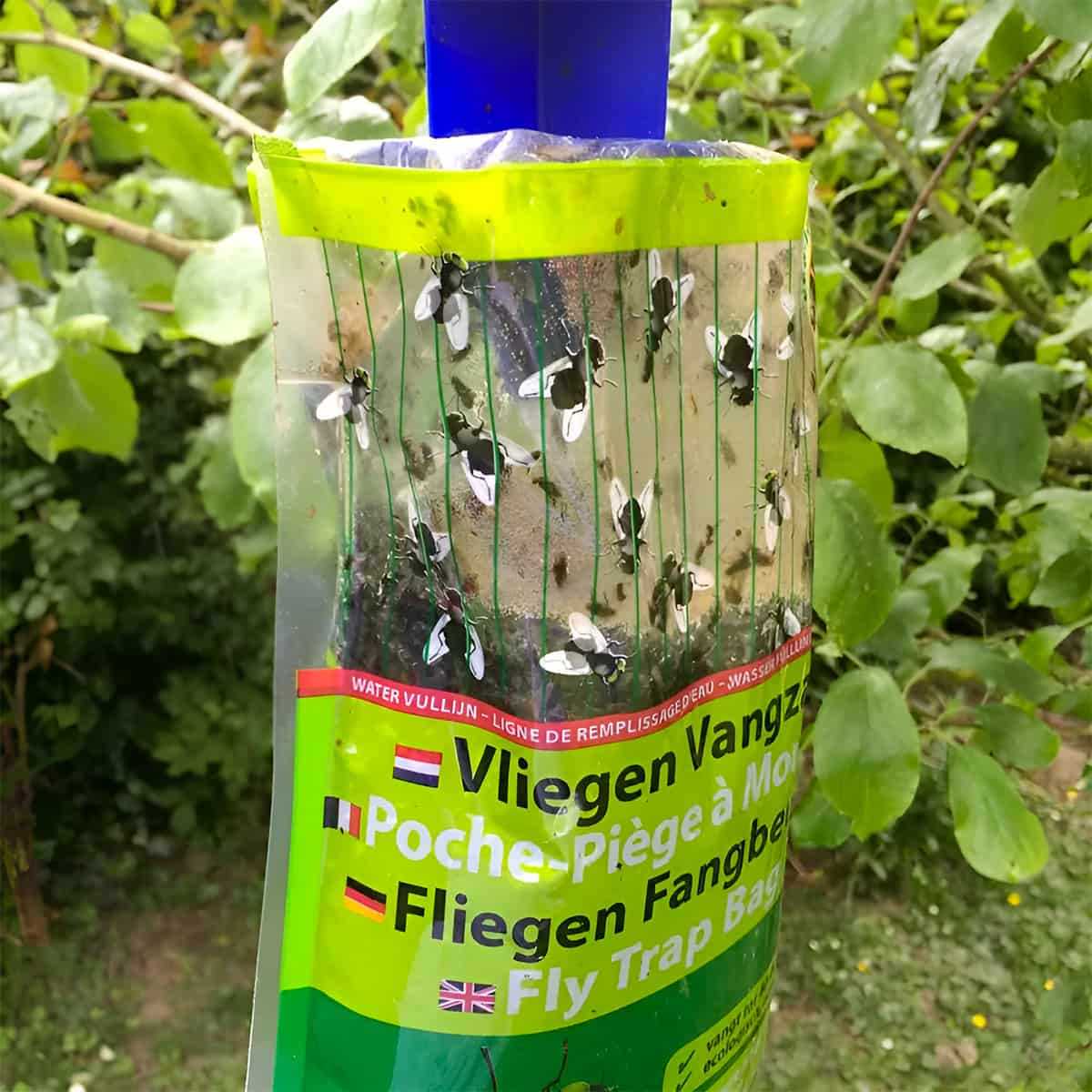 poche piege mouches solution naturelle