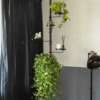 Porte plante - étagère noire télescopique 3m  Porte plante - étagère noire télescopique 3m