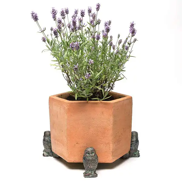 porte plante figurine chouette