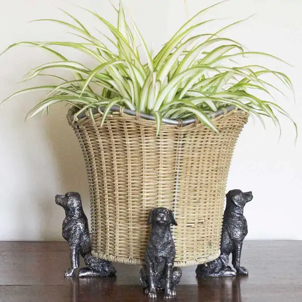 porte plante original chien