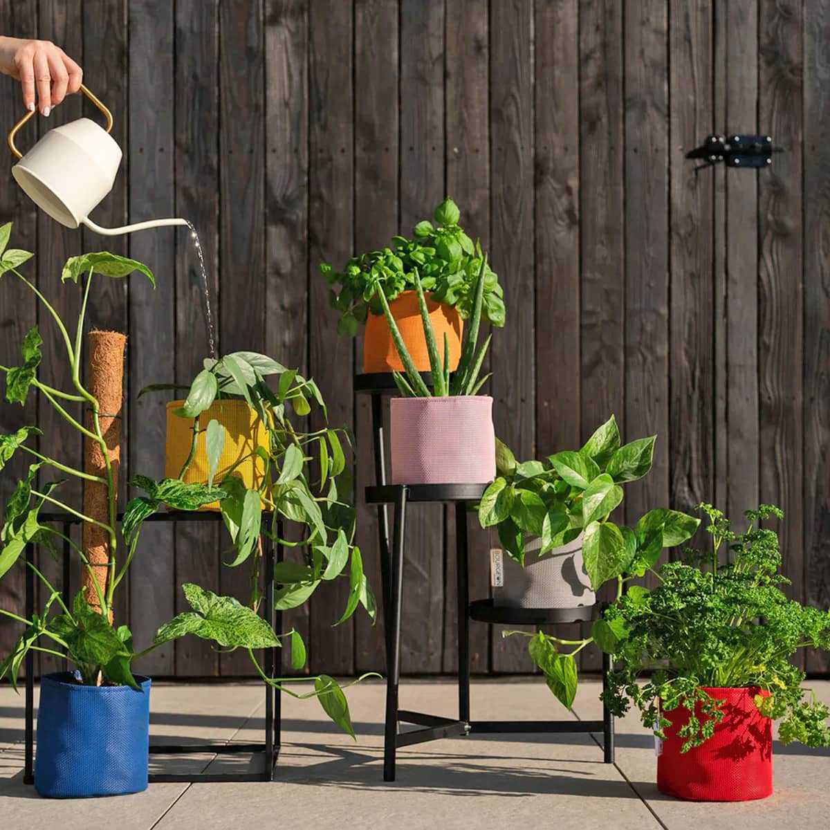 pot colore exterieur bourgeon