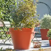 Grand pot de fleurs XXL en plastique