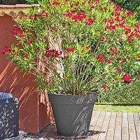Grand pot de fleurs XXL - Diam. 100cm x haut. 80cm 356L