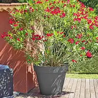 Grand pot de fleurs XXL - Diam. 100cm x haut. 80cm 356L