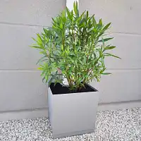 Pot de fleur gouttière - Gris béton