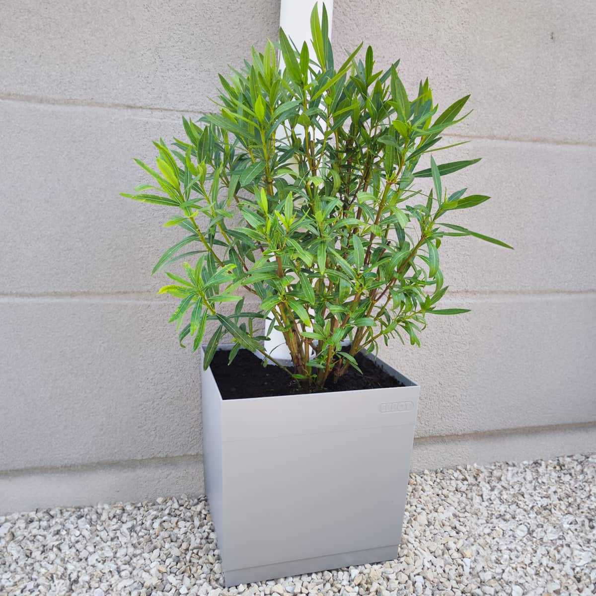 pot fleur gouttiere gris clair