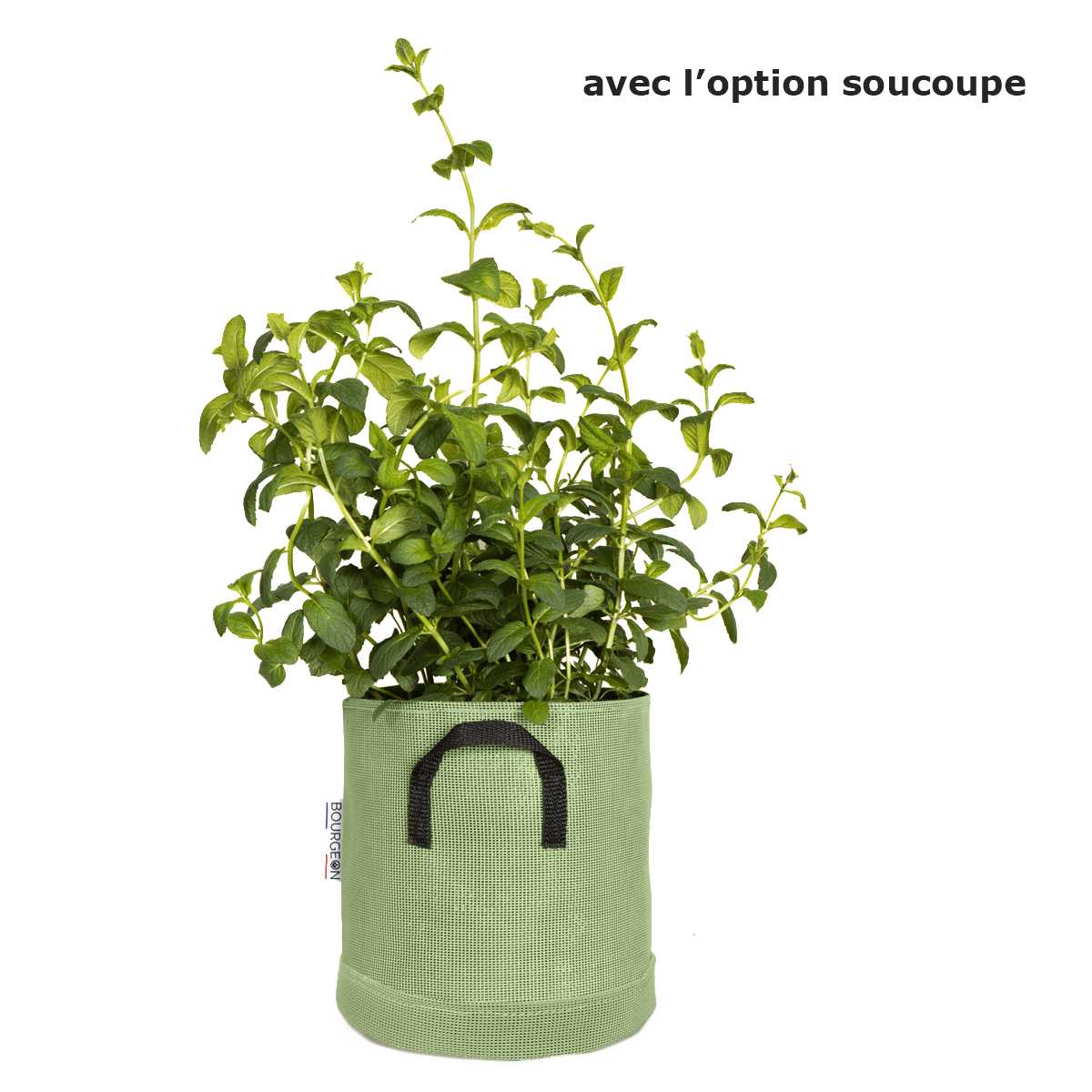 pot soucoupe vert 20cm