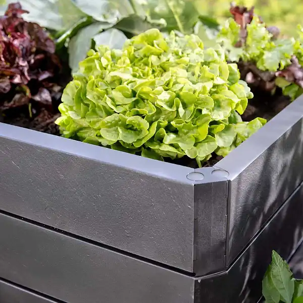 potager rectangle haut