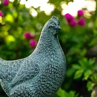 Sculpture poule en bronze - Statue animaux au jardin H.20 cm