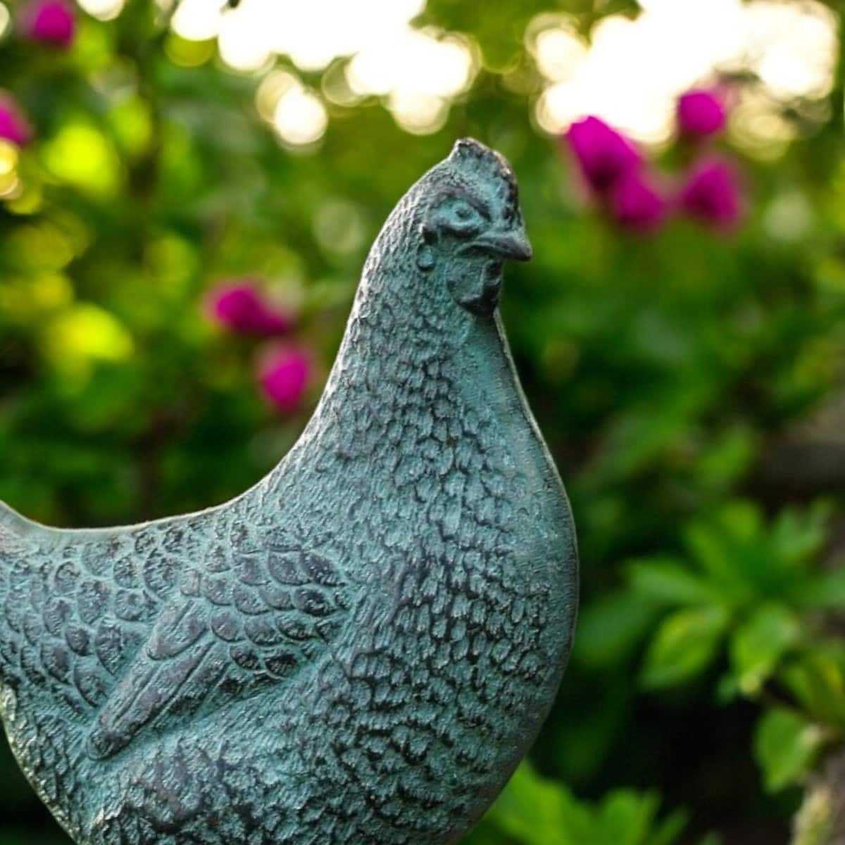 poule bronze taille reelle