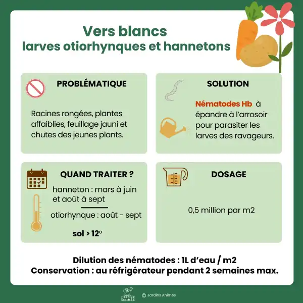 presentation nematodes anti vers blancs