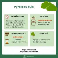 Phéromone contre la Pyrale du buis longue durée, Ginko Buxus - Protection saison complète