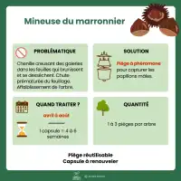 Phéromone contre la mineuse du marronnier - 2 capsules, 3 mois de protection