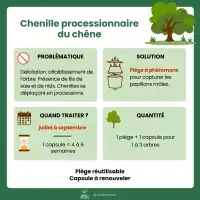 Phéromone contre la chenille processionnaire du chêne - 2 capsules, 3 mois de protection