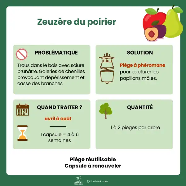 presentation pheromones zeuzere poirier