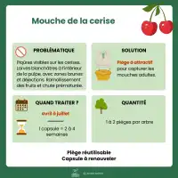 Attractif contre la mouche de la cerise - 2 capsules, 2 mois de protection