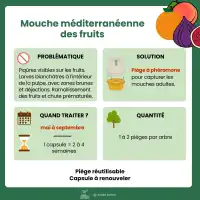 Phéromone contre la mouche méditerranéenne des fruits, Cératite - 2 capsules, 3 mois de protection