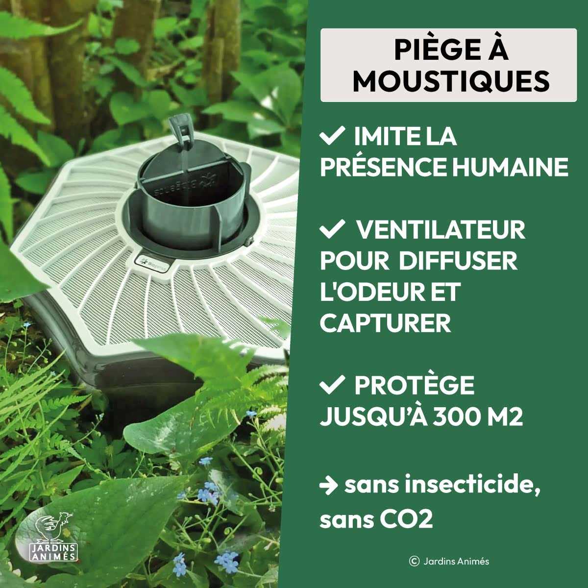 presentation piege moustique tigre mosquitaire