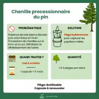 Phéromone contre la chenille processionnaire du pin - 6 mois (1 capsule longue durée)