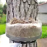 Réhausse pour collier écopiège Diam. 30 et 55cm