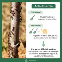 Granulés anti-fourmis au Spinosad - Poudreuse 500g