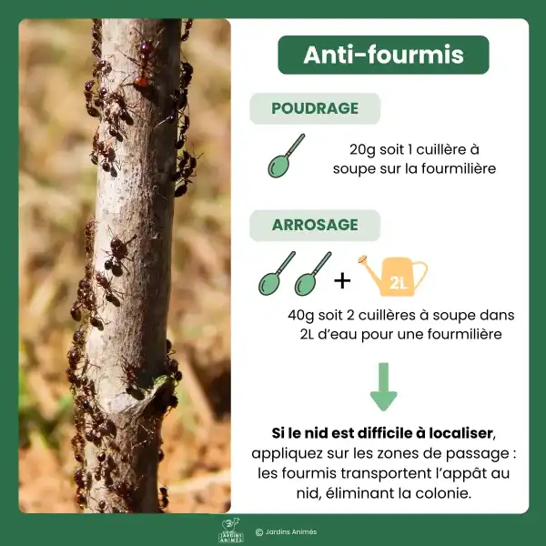 produit anti fourmis granules