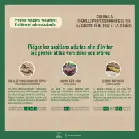 Piège à phéromones entonnoir à ailettes pour papillons (processionnaire du pin, cossus gâte-bois...) -vendu sans phéromone