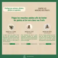 Piège à phéromones universel pour mouches (mouches des fruits, cerises, olives...) -vendu sans phéromone
