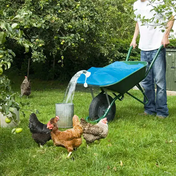reservoir eau abreuvoir poules