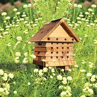 Ruche pédagogique abeilles solitaires