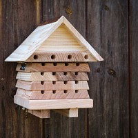 Ruche pédagogique abeilles solitaires