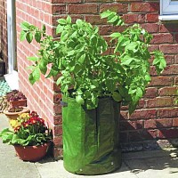 Sac culture à pommes de terre x2