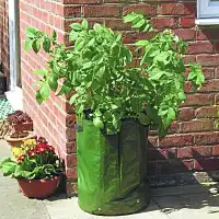 Sac culture à pommes de terre x2