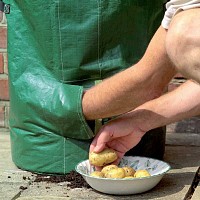 Sac culture à pommes de terre x2