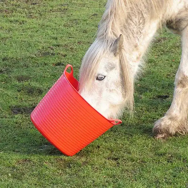 seau cheval souple seau cheval souple