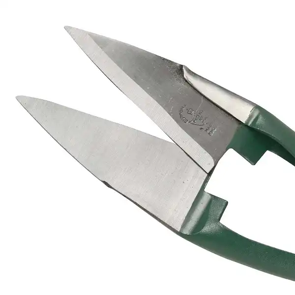 secateur pointu buis