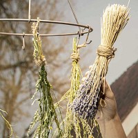 Séchoir pour fleurs et herbes en métal à suspendre