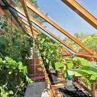 Serre de jardin adossée en bois Classic Lean To Eight Gabriel Ash - 5 panneaux